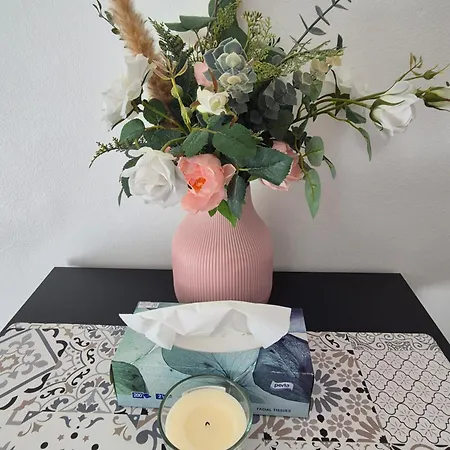 Apartament En Bord De Nicea